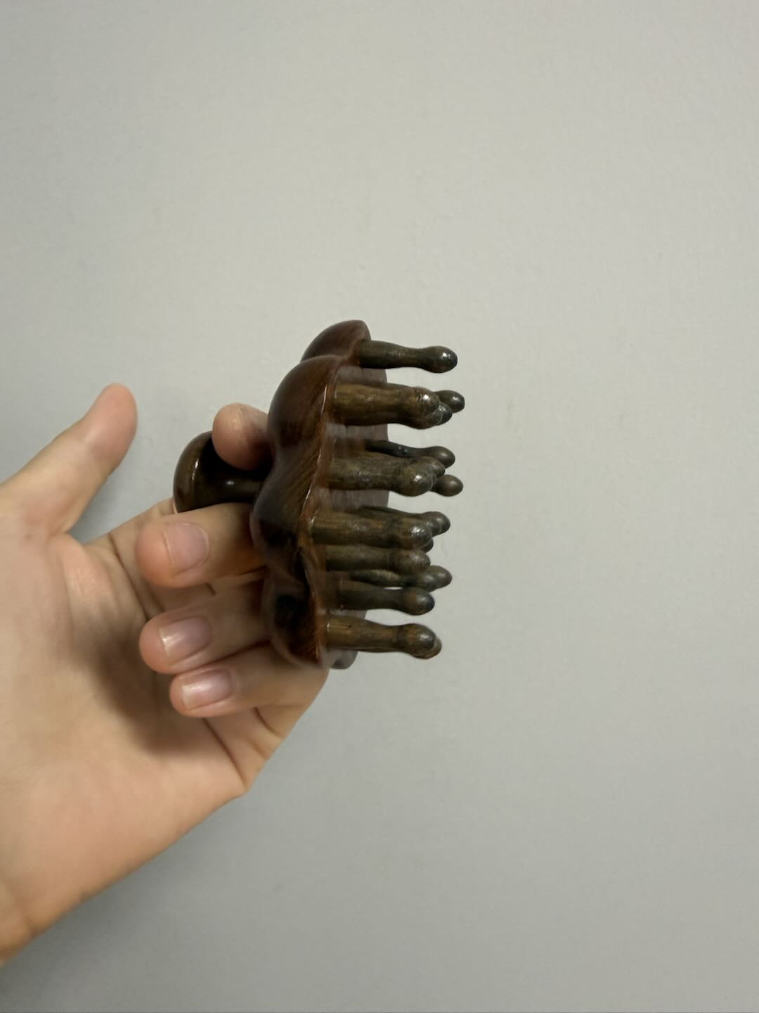 RIKI MERIDIAN BRUSH
