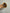 RIKI MERIDIAN BRUSH