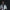 RIKI SKINNY 2.0